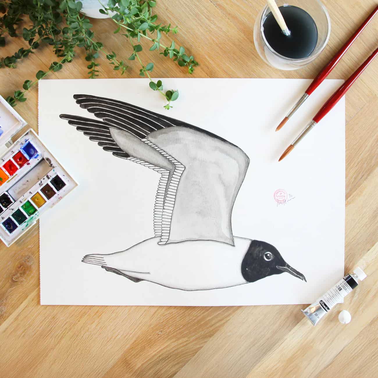 hooded-seagull_a95442e8-2a4e-48aa-976d-0286987dc067